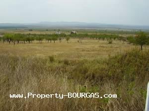 View of Land for sale, plots For sale in Kosharica