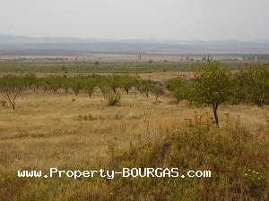 View of Land for sale, plots For sale in Kosharica