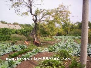 View of Houses For sale in Zimen