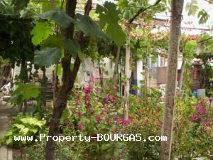 View of Houses For sale in Zimen