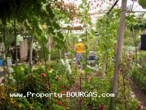 View of Houses For sale in Zimen