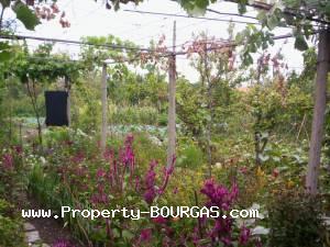 View of Houses For sale in Zimen