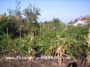 View of Houses For sale in Pirne