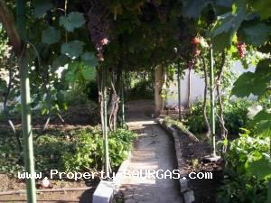 View of Houses For sale in Pirne