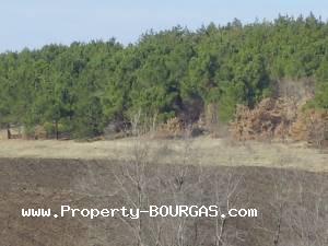 View of Land for sale, plots For sale in Izvorishte/Burgas/