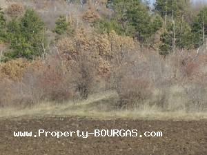 View of Land for sale, plots For sale in Izvorishte/Burgas/