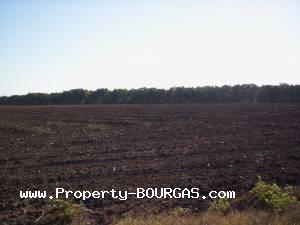 View of Land for sale, plots For sale in Chukarka