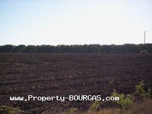 View of Land for sale, plots For sale in Chukarka