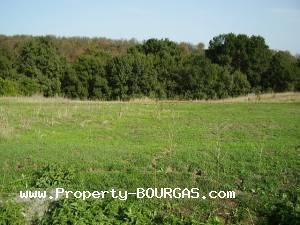 View of Land for sale, plots For sale in Cherni Vrah
