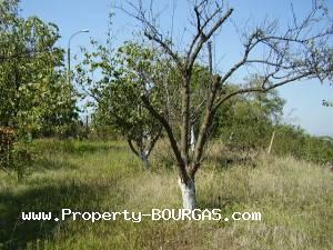 View of Land for sale, plots For sale in Aleksandrovo