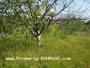 View of Land for sale, plots For sale in Aleksandrovo