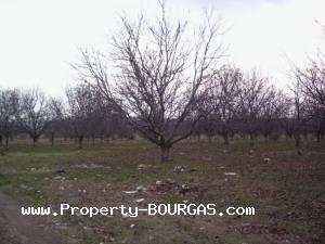 View of Land for sale, plots For sale in Karageorgievo