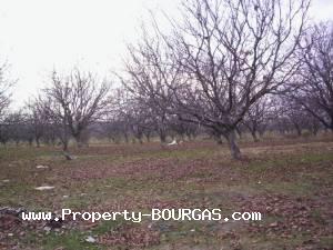 View of Land for sale, plots For sale in Karageorgievo