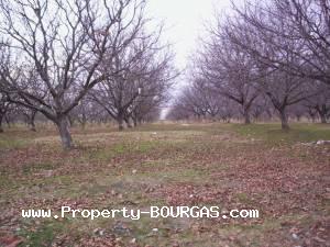 View of Land for sale, plots For sale in Karageorgievo