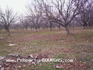 View of Land for sale, plots For sale in Karageorgievo