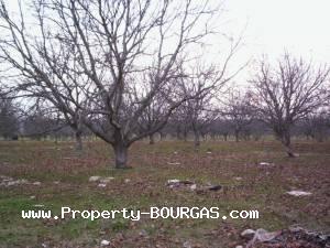 View of Land for sale, plots For sale in Karageorgievo