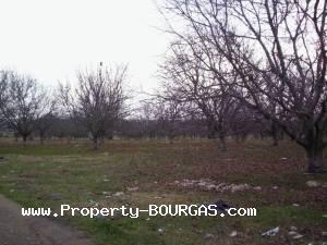 View of Land for sale, plots For sale in Karageorgievo