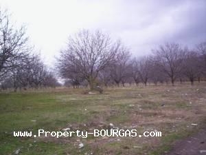 View of Land for sale, plots For sale in Karageorgievo