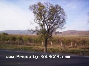 View of Land for sale, plots For sale in Aitos property