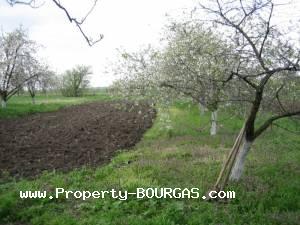 View of Houses For sale in Trastikovo