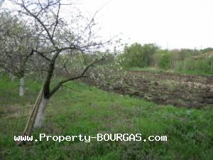 View of Houses For sale in Trastikovo