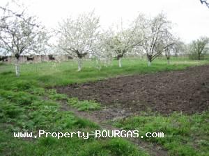 View of Houses For sale in Trastikovo