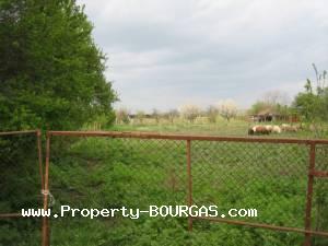 View of Land for sale, plots For sale in Trastikovo