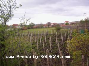 View of Land for sale, plots For sale in Banevo