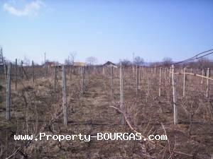 View of Land for sale, plots For sale in Aitos property