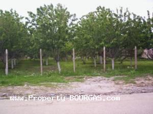 View of Houses For sale in Karageorgievo