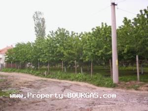 View of Houses For sale in Karageorgievo