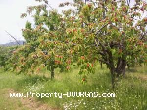 View of Land for sale, plots For sale in Karageorgievo