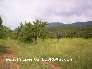 View of Land for sale, plots For sale in Karageorgievo