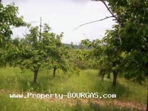 View of Land for sale, plots For sale in Karageorgievo