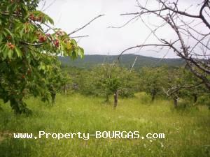 View of Land for sale, plots For sale in Karageorgievo