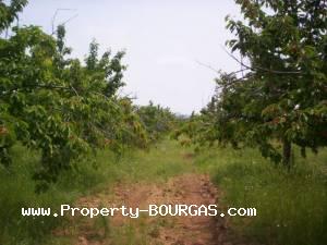 View of Land for sale, plots For sale in Karageorgievo