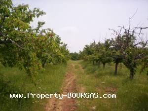 View of Land for sale, plots For sale in Karageorgievo