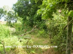 View of Houses For sale in Sadievo