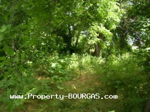 View of Houses For sale in Sadievo