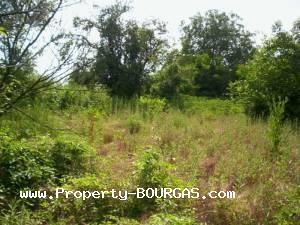 View of Houses For sale in Sadievo
