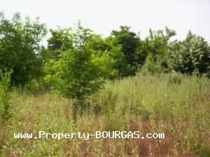 View of Houses For sale in Sadievo
