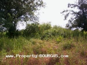 View of Houses For sale in Sadievo