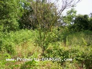 View of Houses For sale in Sadievo