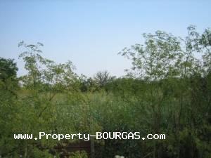View of Land for sale, plots For sale in Livada