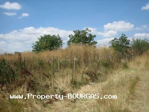 View of Land for sale, plots For sale in Banevo