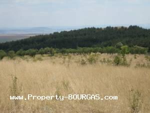 View of Land for sale, plots For sale in Banevo