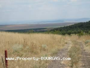 View of Land for sale, plots For sale in Banevo