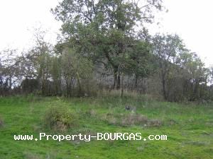 View of Houses For sale in Orlintsi