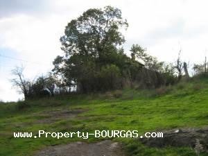 View of Houses For sale in Orlintsi