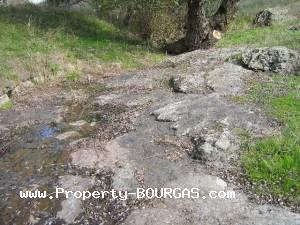 View of Houses For sale in Orlintsi